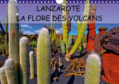 LANZAROTE LA FLORE DES VOLCANS CALENDRIER MURAL 2018 DIN A4 - LANZAROTE DES CHAMPS DE LAVE N