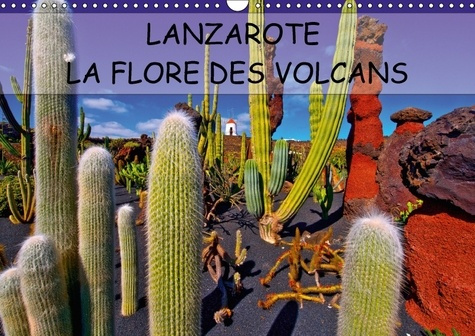 LANZAROTE LA FLORE DES VOLCANS CALENDRIER MURAL 2018 DIN A3 - LANZAROTE DES CHAMPS DE LAVE N