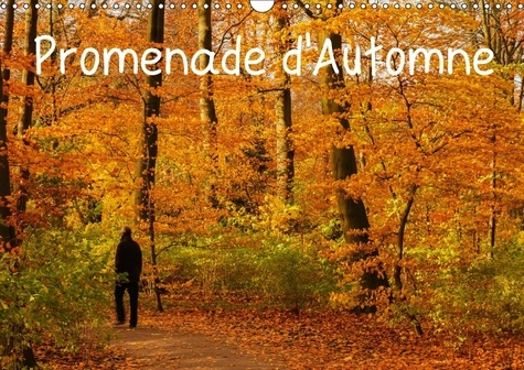 PROMENADE D AUTOMNE CALENDRIER MURAL 2018 DIN A3 HORIZONTAL - UNE PROMENADE HAUTE EN COULEUR