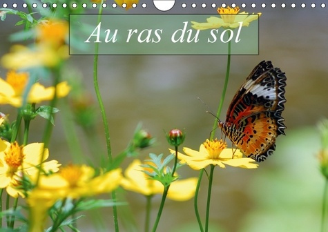 AU RAS DU SOL CALENDRIER MURAL 2018 DIN A4 HORIZONTAL - MACROPHOTOGRAPHIES D INSECTES