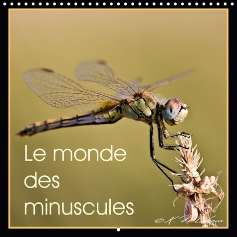 LE MONDE DES MINUSCULES CALENDRIER MURAL 2018 300 300 MM SQU - MISE EN BEAUTE DES ARTHROPODES