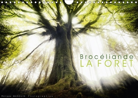 BROCELIANDE LA FORET CALENDRIER MURAL 2018 DIN A4 HORIZONTAL - PHOTOGRAPHIES DE LA FORET DE B