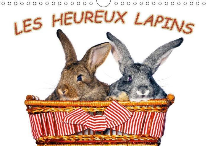 LES HEUREUX LAPINS CALENDRIER MURAL 2018 DIN A4 HORIZONTAL - DES LAPINS DEVANT L APPAREIL P