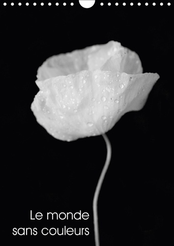 LE MONDE SANS COULEURS CALENDRIER MURAL 2018 DIN A4 VERTICAL - UNE BELLE COLLECTION DE PHOTOS