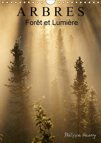 ARBRES FORET ET LUMIERE CALENDRIER MURAL 2018 DIN A4 VERTICA - DES ARBRES DANS TOUTE LEUR BEA