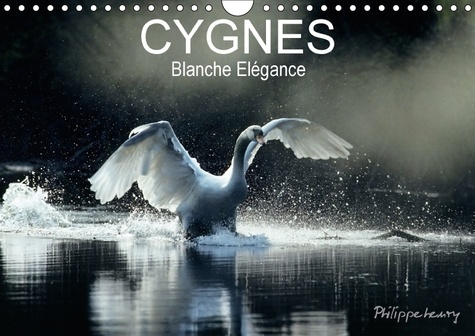 CYGNES BLANCHE ELEGANCE CALENDRIER MURAL 2018 DIN A4 HORIZON - LES PLUS BELLES PHOTOS DE CYGN