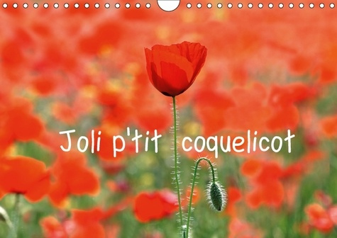 JOLI P TIT COQUELICOT L ETE N