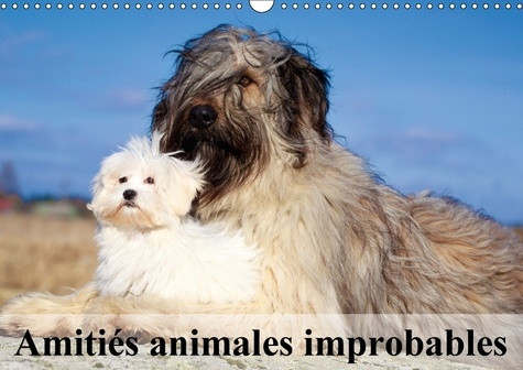 AMITIES ANIMALES IMPROBABLES CALENDRIER MURAL 2018 DIN A3 HO - MERVEILLEUSES AMITIES DU MONDE