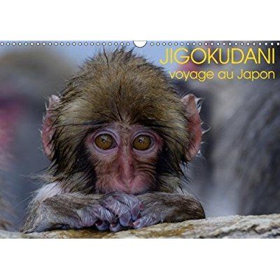 JIGOKUDANI VOYAGE AU JAPON CALENDRIER MURAL 2018 DIN A3 HORI - UN VOYAGE A TRAVERS DE MAGNIFI