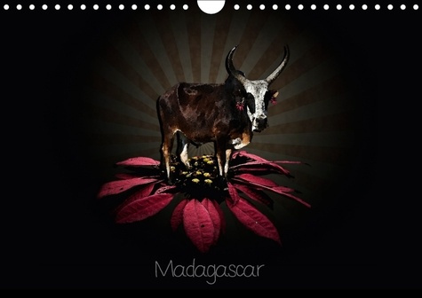 MADAGASCAR CALENDRIER MURAL 2018 DIN A4 HORIZONTAL - PHOTOGRAPHIES DE MADAGASCAR CA