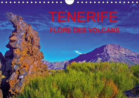 TENERIFE FLORE DES VOLCANS CALENDRIER MURAL 2018 DIN A4 HORI - DES CHAMPS DE LAVE BARIOLES DE