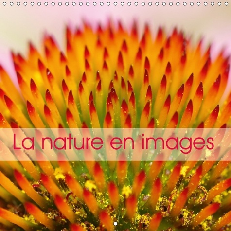 LA NATURE EN IMAGES CALENDRIER MURAL 2018 300 300 MM SQUARE - LA NATURE AU FIL DES SAISONS E
