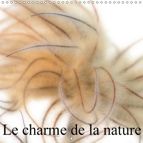 LE CHARME DE LA NATURE CALENDRIER MURAL 2018 300 300 MM SQUA - LES PLUS BELLES IMPRESSIONS DE
