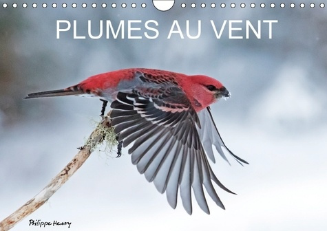 PLUMES AU VENT CALENDRIER MURAL 2018 DIN A4 HORIZONTAL - DES OISEAUX EN ACTION AU FIL D