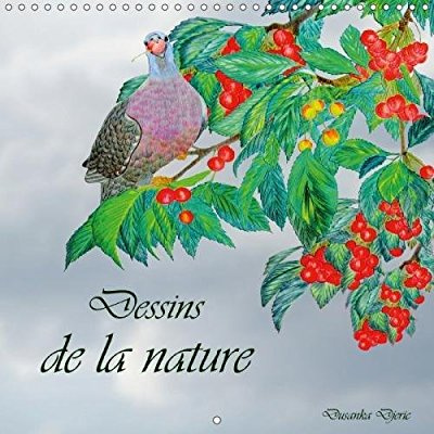 DESSINS DE LA NATURE CALENDRIER MURAL 2018 300 300 MM SQUARE - DESSINS AU CRAYON DE COULEUR C