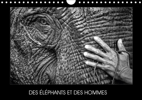 DES ELEPHANTS ET DES HOMMES CALENDRIER MURAL 2018 DIN A4 HOR - LA RELATION ENTRE LES ELEPHANT