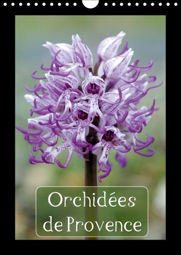 ORCHIDEES DE PROVENCE CALENDRIER MURAL 2018 DIN A4 VERTICAL - ORCHIDEES RENCONTREES DANS LES