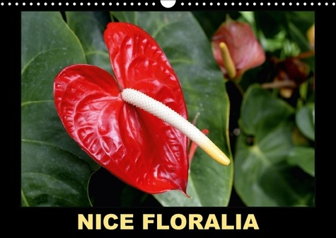 NICE FLORALIA CALENDRIER MURAL 2018 DIN A3 HORIZONTAL - A NICE LE PARC PHOENIX ABRITE