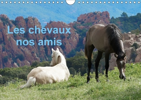 LES CHEVAUX NOS AMIS CALENDRIER MURAL 2018 DIN A4 HORIZONTAL - UNE SERIE DE PHOTOS DE NOS AMI