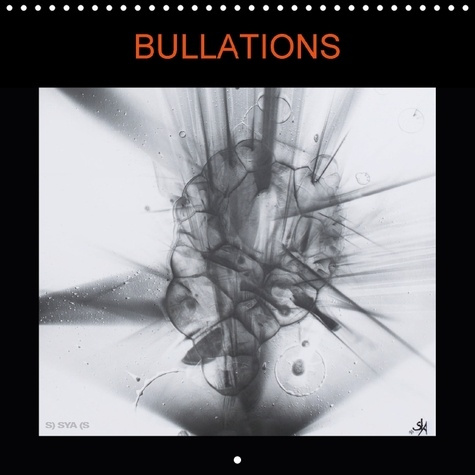 BULLATIONS CALENDRIER MURAL 2018 300 300 MM SQUARE - LA LUMIERE DANS TOUT SES ETATS