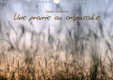 UNE PRAIRIE AU CREPUSCULE CALENDRIER MURAL 2018 DIN A4 HORIZ - BEAUTE DES GRAMINEES CALENDRIE