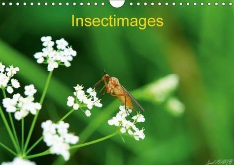 INSECTIMAGES CALENDRIER MURAL 2018 DIN A4 HORIZONTAL - PHOTOGRAPHIES D INSECTES CALEN