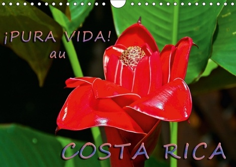PURA VIDA AU COSTA RICA CALENDRIER MURAL 2018 DIN A4 HORIZO - COSTA RICA UN PAYS MERVEILLEUX