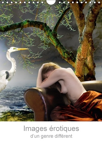 IMAGES EROTIQUES D UN GENRE DIFFERENT CALENDRIER MURAL 2018 - REVERIES POETIQUES ET EROTIQUE