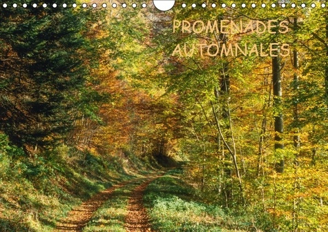 PROMENADES AUTOMNALES CALENDRIER MURAL 2018 DIN A4 HORIZONTA - UNE SAISON A NULLE AUTRE PAREI