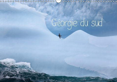 GEORGIE DU SUD CALENDRIER MURAL 2018 DIN A3 HORIZONTAL - VIE SAUVAGE SUR UNE LE LOINTAI
