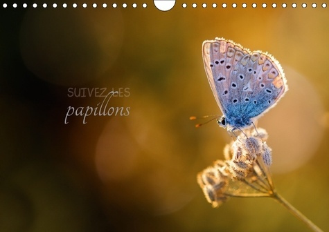 SUIVEZ LES PAPILLONS CALENDRIER MURAL 2018 DIN A4 HORIZONTAL - CALENDRIER PHOTO SUR LE THEME