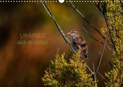 L ANNEE DES OISEAUX CALENDRIER MURAL 2018 DIN A3 HORIZONTAL - CALENDRIER REGROUPANT QUELQUES