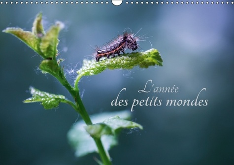L ANNEE DES PETITS MONDES CALENDRIER MURAL 2018 DIN A3 HORIZ - A LA DECOUVERTE DES INSECTES D