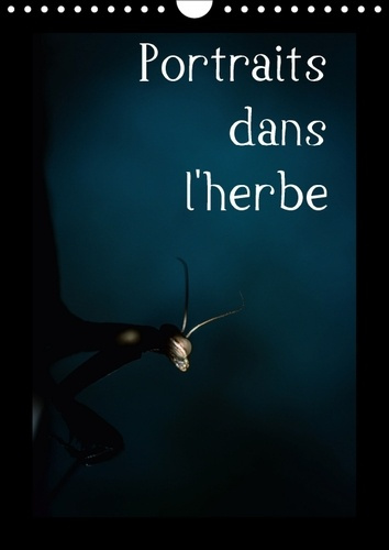 PORTRAITS DANS L HERBE CALENDRIER MURAL 2018 DIN A4 VERTICAL - PORTRAIT D INSECTES DES PYRENE