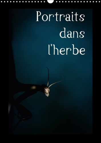 PORTRAITS DANS L HERBE CALENDRIER MURAL 2018 DIN A3 VERTICAL - PORTRAIT D INSECTES DES PYRENE