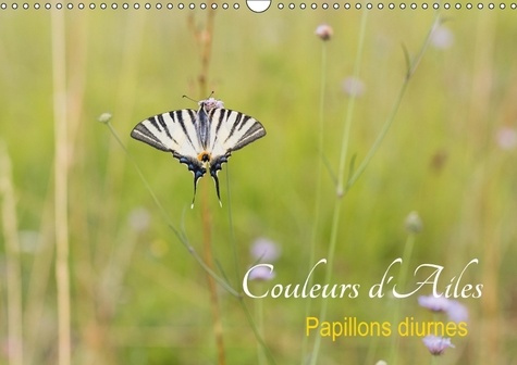 COULEURS D AILES CALENDRIER MURAL 2018 DIN A3 HORIZONTAL - PAPILLONS DIURNES CALENDRIER M