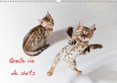 QUELLE VIE DE CHATS CALENDRIER MURAL 2018 DIN A3 HORIZONTAL - CHATS ET CHATONS CALENDRIER ME