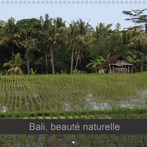 BALI BEAUTE NATURELLE CALENDRIER MURAL 2018 300 300 MM SQUAR - PAYSAGES DU BOUT DU MONDE CALE