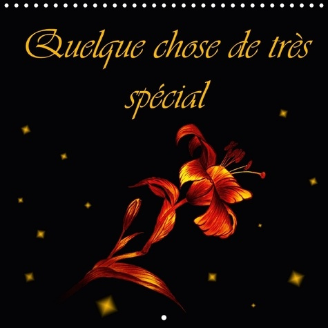 QUELQUE CHOSE DE TRES SPECIAL CALENDRIER MURAL 2018 300 300 - DESSINS AUX COULEURS ENSOLEILL