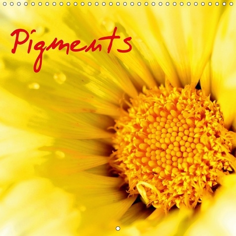 PIGMENTS CALENDRIER MURAL 2018 300 300 MM SQUARE - MACRO DE FLEURS CALENDRIER MEN