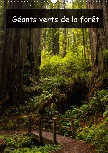 GEANTS VERTS DE LA FORET CALENDRIER MURAL 2018 DIN A3 VERTIC - ARBRES ANCIENS ET FORET TROPIC