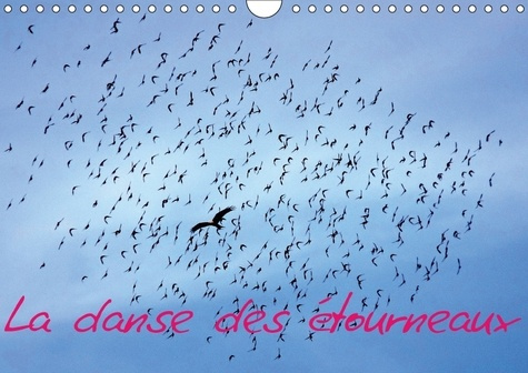 LA DANSE DES ETOURNEAUX CALENDRIER MURAL 2018 DIN A4 HORIZON - LA MIGRATION DES ETOURNEAUX CA