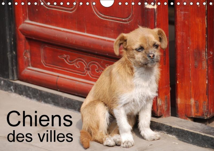 CHIENS DES VILLES CALENDRIER MURAL 2018 DIN A4 HORIZONTAL - LA VIE CANINE EN VILLE CALENDR