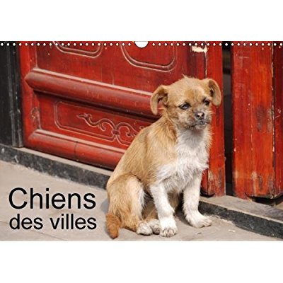 CHIENS DES VILLES CALENDRIER MURAL 2018 DIN A3 HORIZONTAL - LA VIE CANINE EN VILLE CALENDR