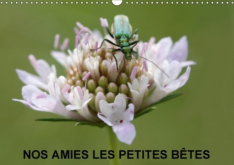 NOS AMIES LES PETITES BETES CALENDRIER MURAL 2018 DIN A3 HOR - NOS AMIES QUI VIVENT DANS L HE