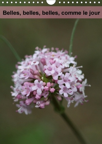 BELLES BELLES BELLES COMME LE JOUR CALENDRIER MURAL 2018 DIN - QUELLES SONT BELLES LES FLEURS