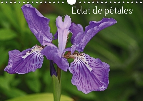 ECLAT DE PETALES CALENDRIER MURAL 2018 DIN A4 HORIZONTAL - LES FLEURS EMBELLISSENT NOS JO