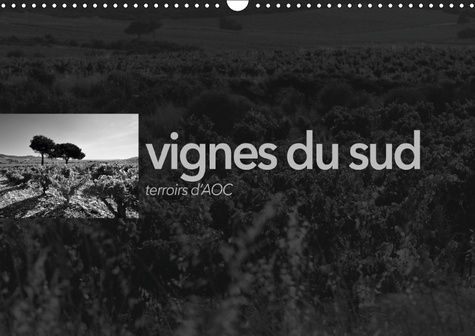 VIGNES DU SUD TERROIRS D AOC CALENDRIER MURAL 2018 DIN A3 HO - PAYSAGES DES TERROIRS VITICOLE