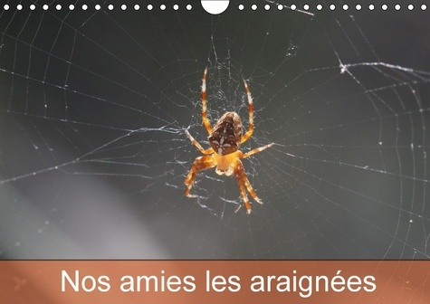 NOS AMIES LES ARAIGNEES CALENDRIER MURAL 2018 DIN A4 HORIZON - LE MONDE DES ARAIGNEES ET DES