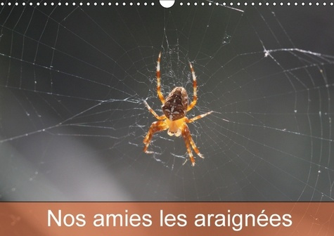 NOS AMIES LES ARAIGNEES CALENDRIER MURAL 2018 DIN A3 HORIZON - LE MONDE DES ARAIGNEES ET DES